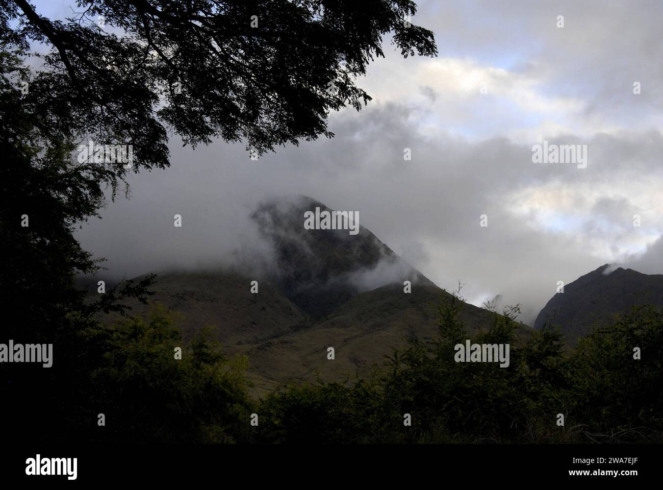 Maui .Hawaii Islands, USA _paysages de maui mead et collines de maui 24 janvier 2015 photo de Francis Joseph Dean/Deanpictures Banque D'Images