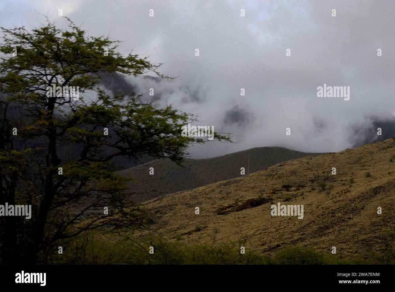 Maui .Hawaii Islands, USA  paysages de maui mead et collines de maui 24 janvier 2015 photo de Francis Joseph Dean/Deanpictures Banque D'Images