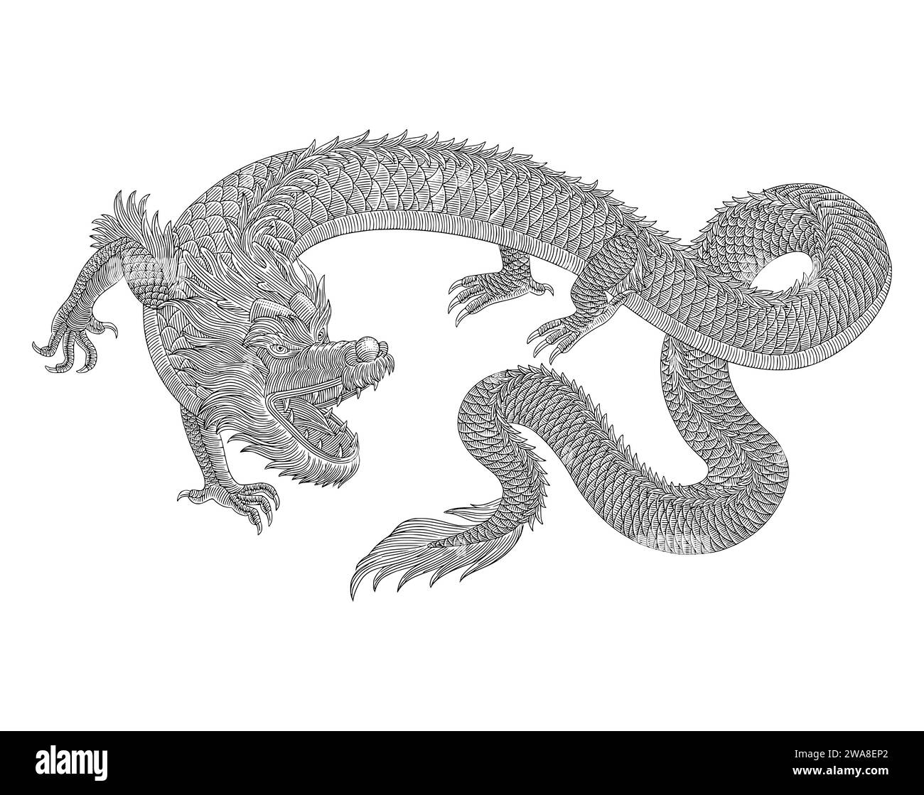 Dragon japonais en colère , illustration de style dessin de gravure vintage Illustration de Vecteur