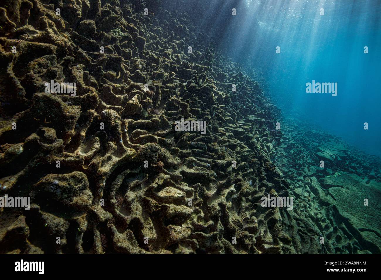 Les demi-tunnels uniques dans la roche de lave à China Walls, Oahu, Hawaï, États-Unis avec des rayons du soleil pénétrant dans l'eau bleue claire Banque D'Images