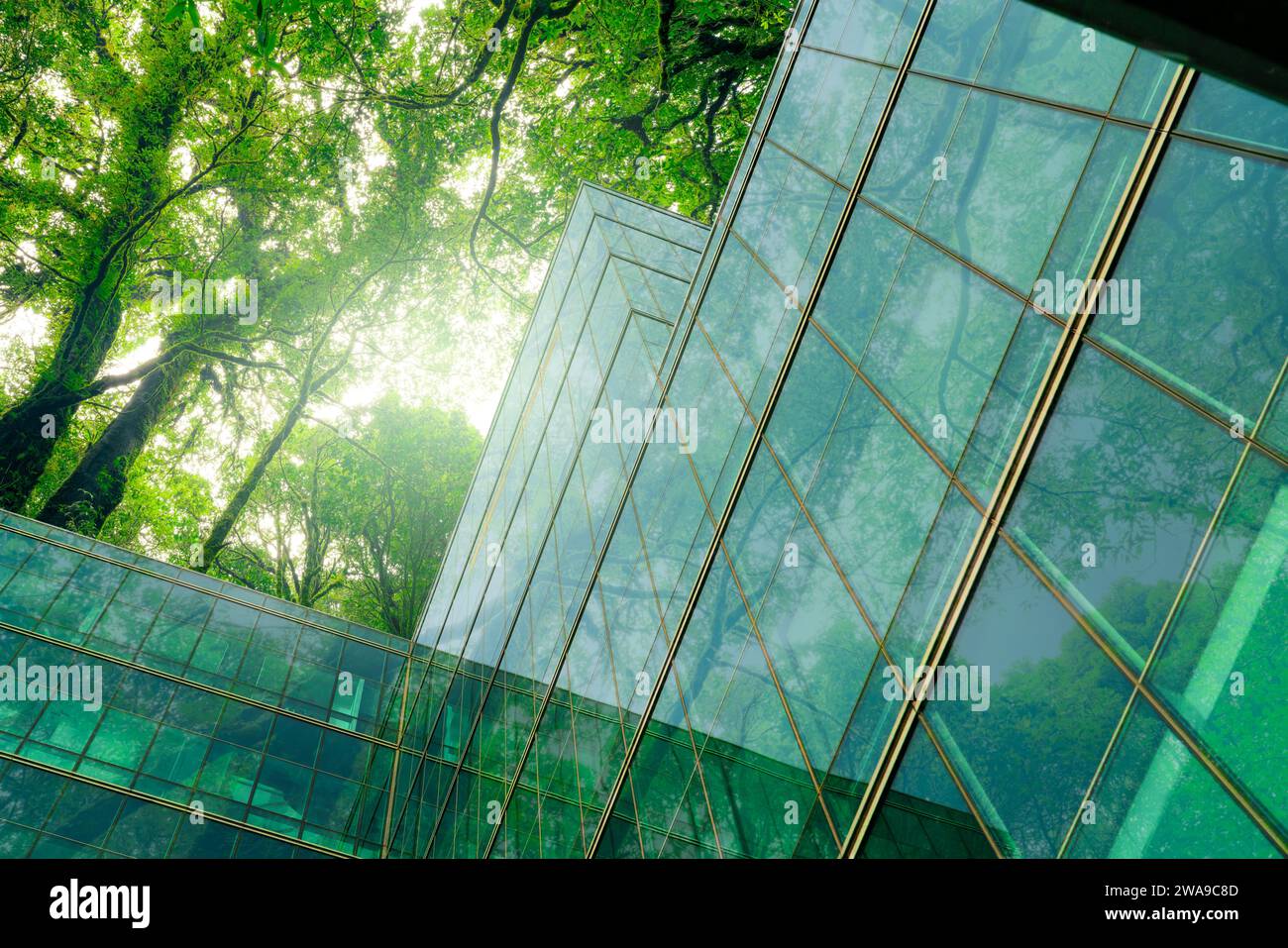 Bâtiment écologique dans la ville moderne. Immeuble de bureaux en verre durable avec arbres pour réduire le CO2. Architecture verte. Bâtiment avec environnement vert Banque D'Images
