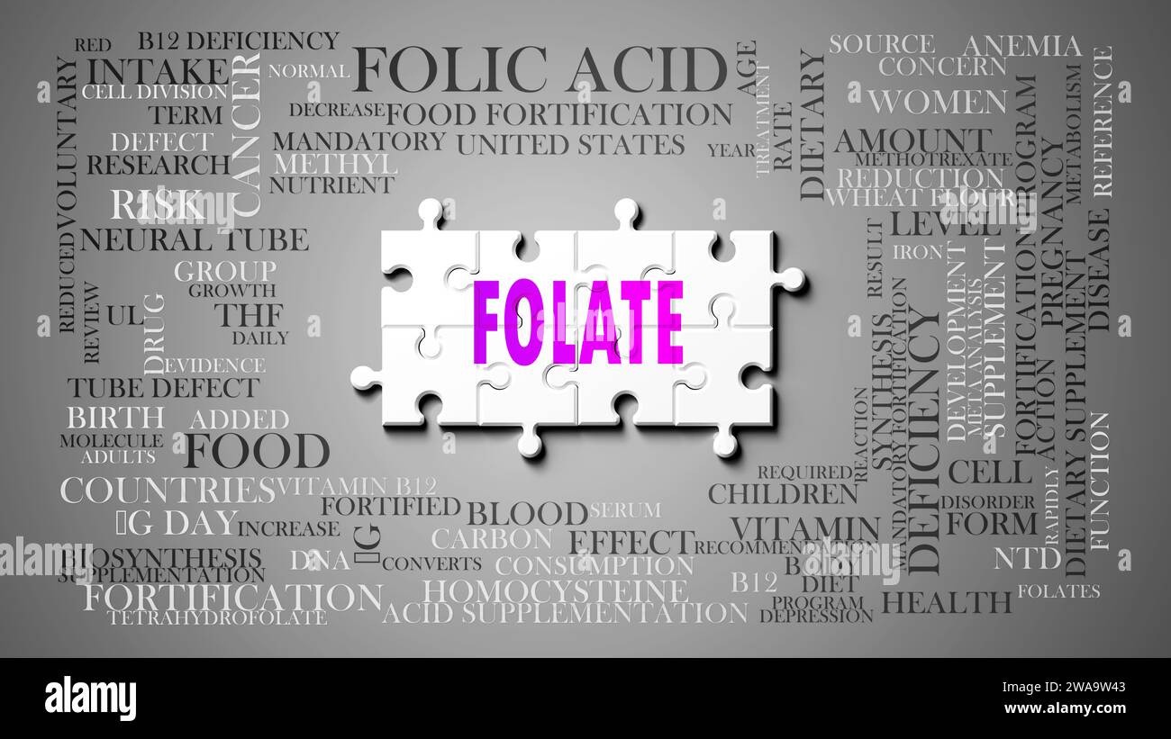 Folate - un sujet complexe, lié à de nombreux concepts. Représenté comme un puzzle et un nuage de mots fait des idées et des phrases les plus importantes liées au folate Banque D'Images