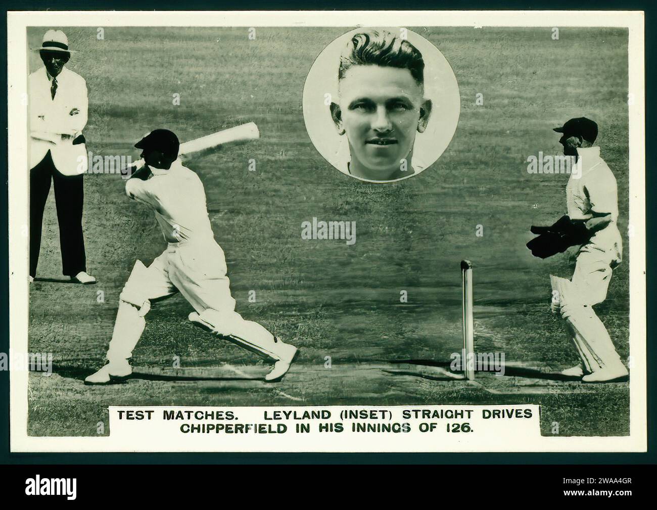 Ashes Test Matches 1936 37 00003 - Illustration de carte de cigarette d'époque Banque D'Images