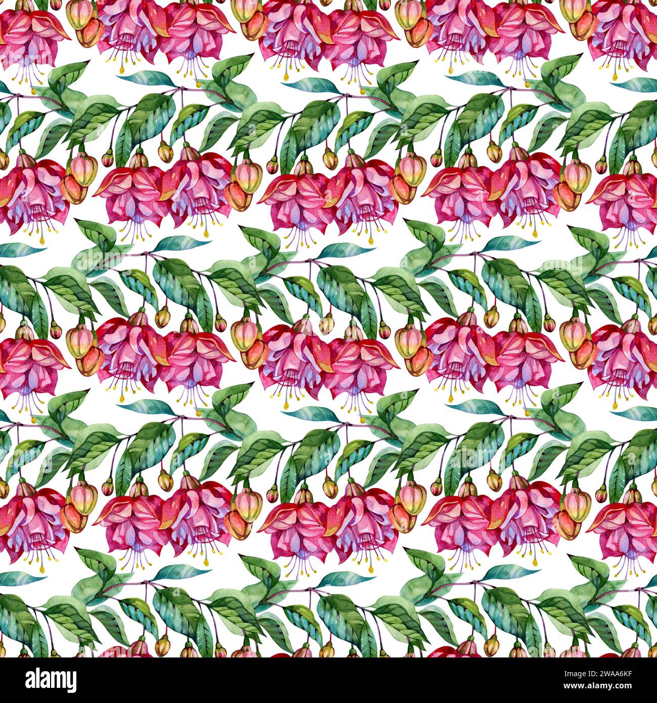 Fleur tropicale lumineuse, fuchsia. Illustration à l'aquarelle. Motif sans couture. Banque D'Images