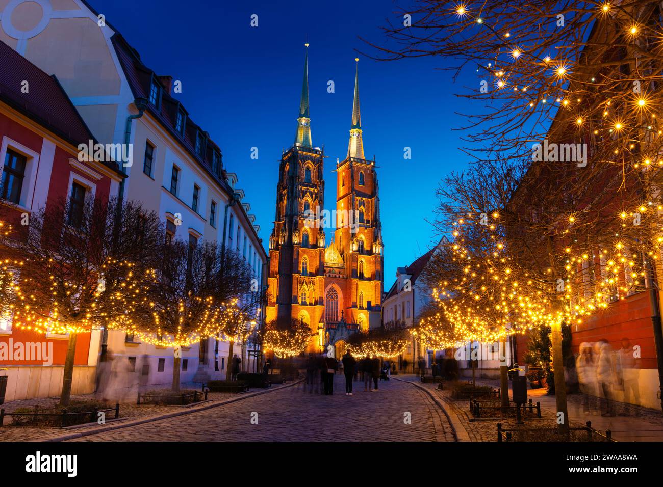 Rue avec route pavée, lumières sur les arbres, St. Cathédrale Jean-Baptiste, Wroclaw, Pologne Banque D'Images