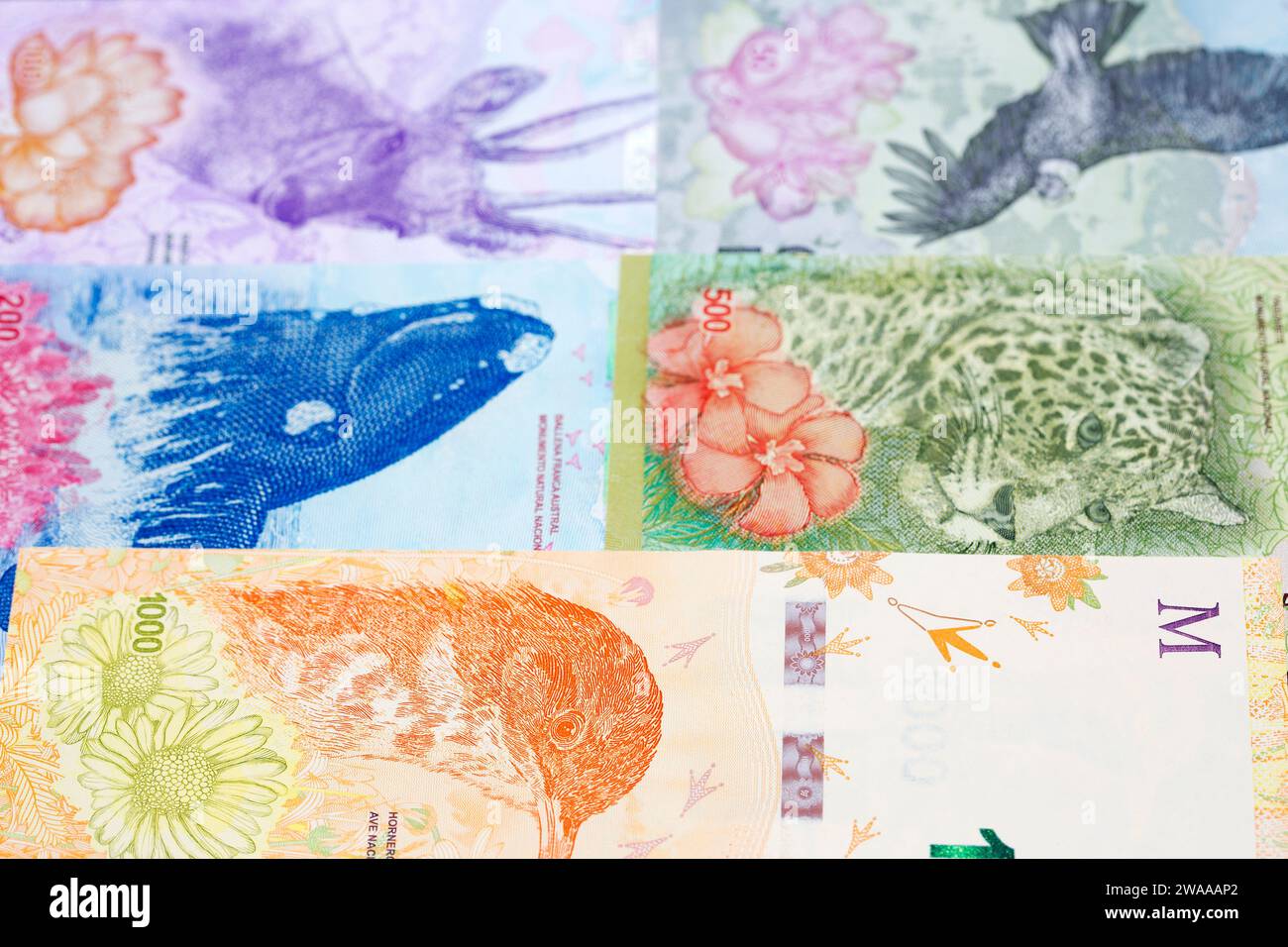 Argent argentin - peso un fond d'affaires Banque D'Images