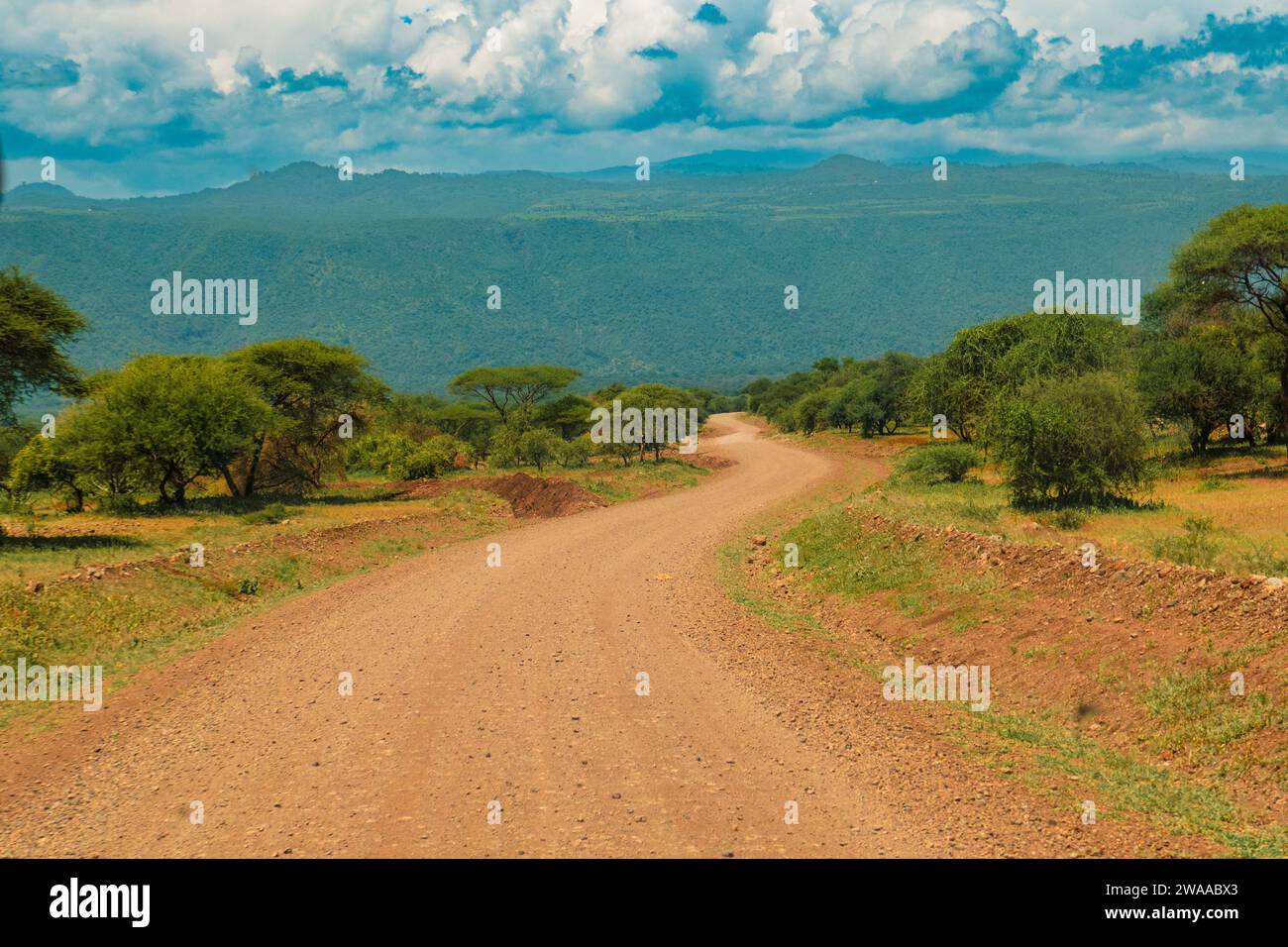 Un chemin de terre contre les montagnes dans la zone de conservation de Ngorongoro en Tanzanie Banque D'Images