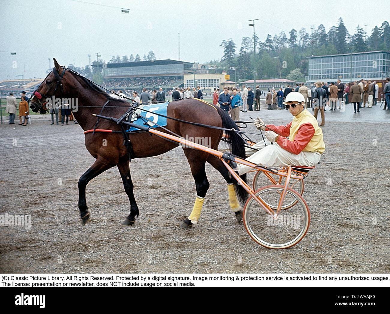 Olle Elfstrand. Entraîneur de trot suédois et jockey. Au cours de sa carrière, il a réussi l'exploit de remporter plus de 2000 courses en tant que jockey. Ici dans le sulky avec le cheval de Trotting Lyon qu'il a entraîné pendant la majeure partie de sa carrière de coureur. Lyon a été sélectionné comme cheval de l'année à trois reprises et est devenu le premier cheval de trot d'origine suédoise à atteindre un million de couronnes suédoises en prix. 1972 réf. BV9 Banque D'Images