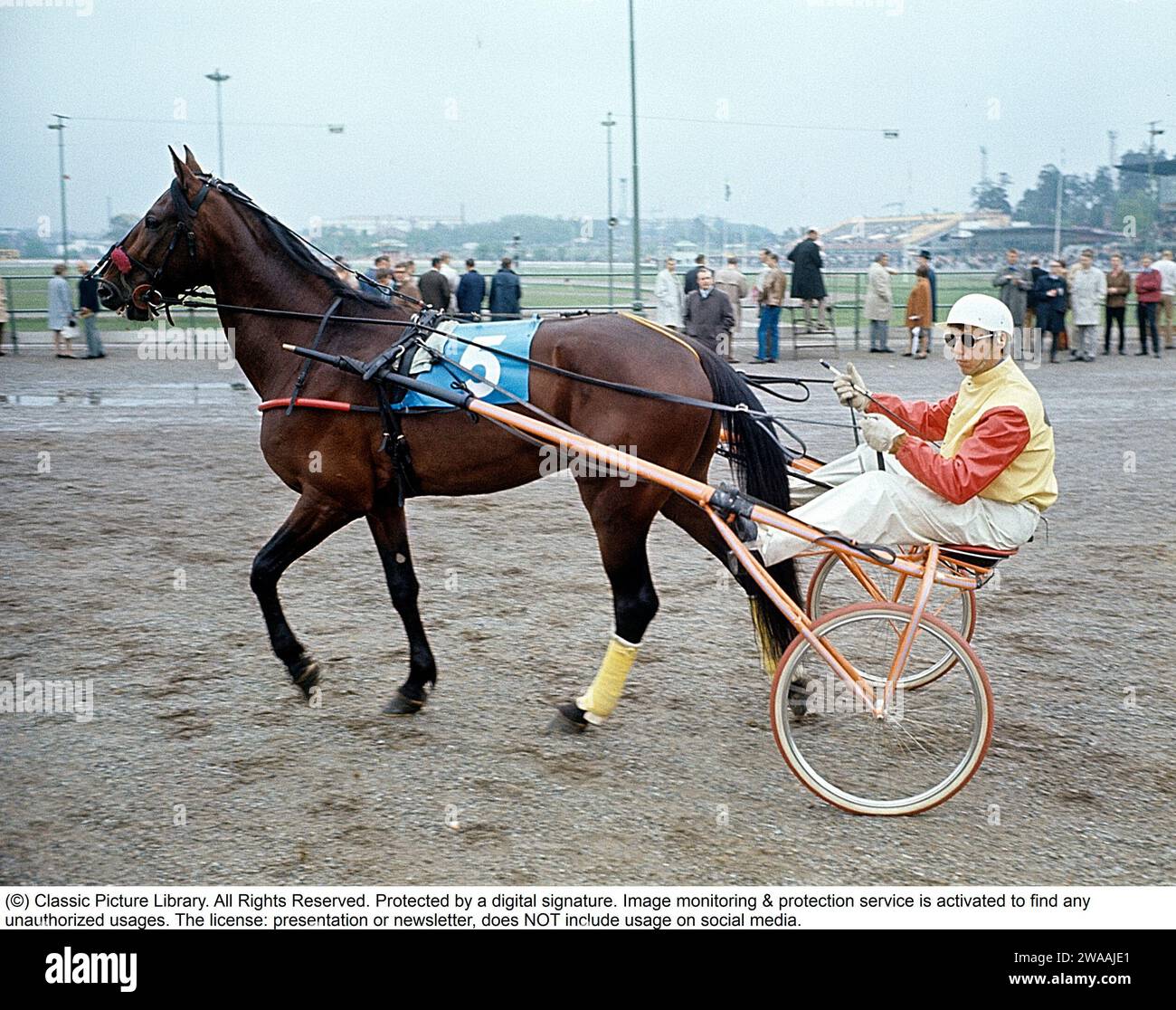 Olle Elfstrand. Entraîneur de trot suédois et jockey. Au cours de sa carrière, il a réussi l'exploit de remporter plus de 2000 courses en tant que jockey. Ici dans le sulky avec le cheval de Trotting Lyon qu'il a entraîné pendant la majeure partie de sa carrière de coureur. Lyon a été sélectionné comme cheval de l'année à trois reprises et est devenu le premier cheval de trot d'origine suédoise à atteindre un million de couronnes suédoises en prix. 1972 réf. BV9 Banque D'Images