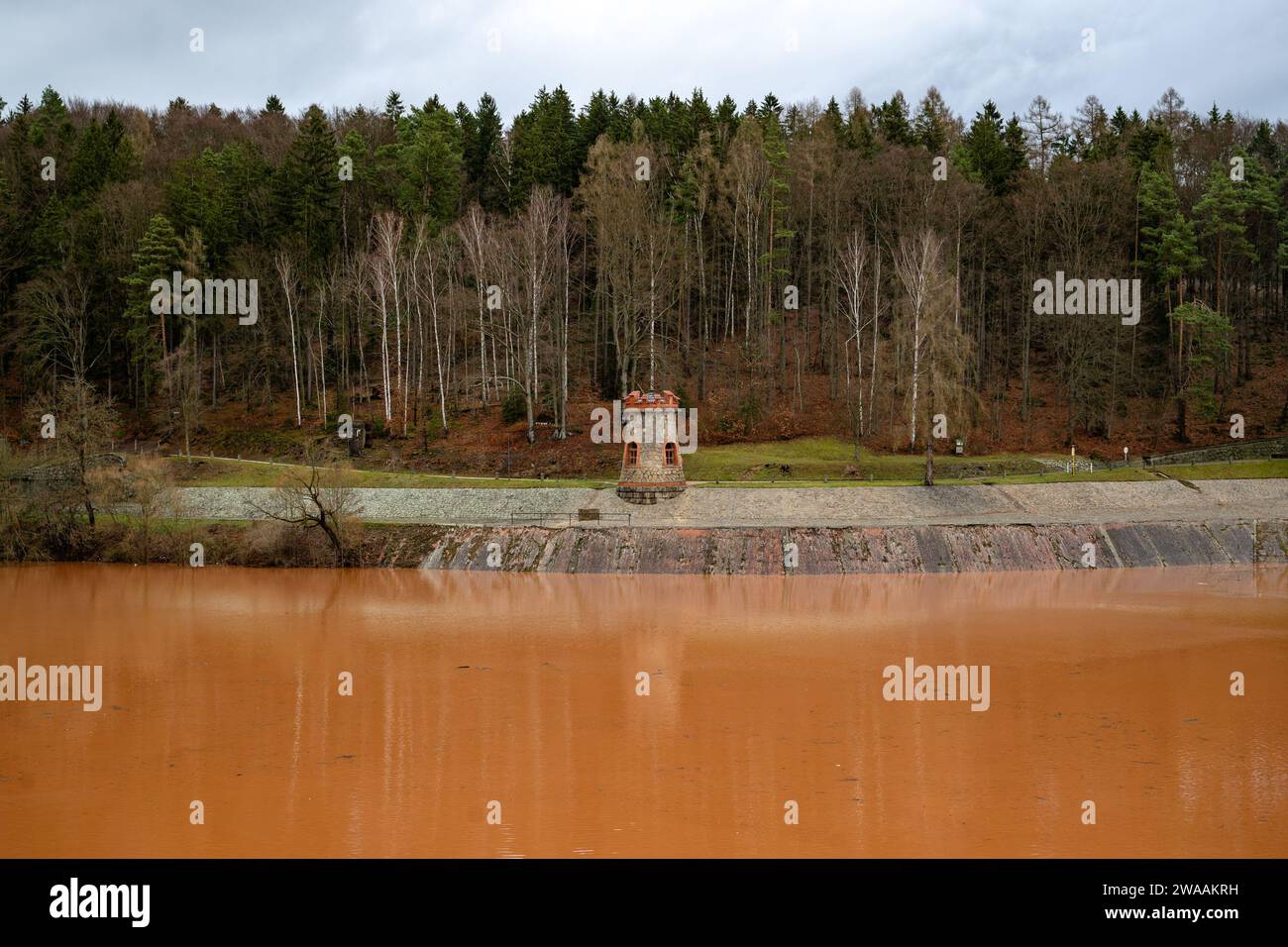 Bila Tremesna, République tchèque. 03 janvier 2024. Après de fortes pluies, le niveau d'eau du barrage de Labe les Kralovstvi (barrage de la forêt royale) près de Dvur Kralove nad Labem, région de Trutnov, République tchèque, a augmenté de près de trois mètres le 3 janvier 2024. Crédit : David Tanecek/CTK photo/Alamy Live News Banque D'Images