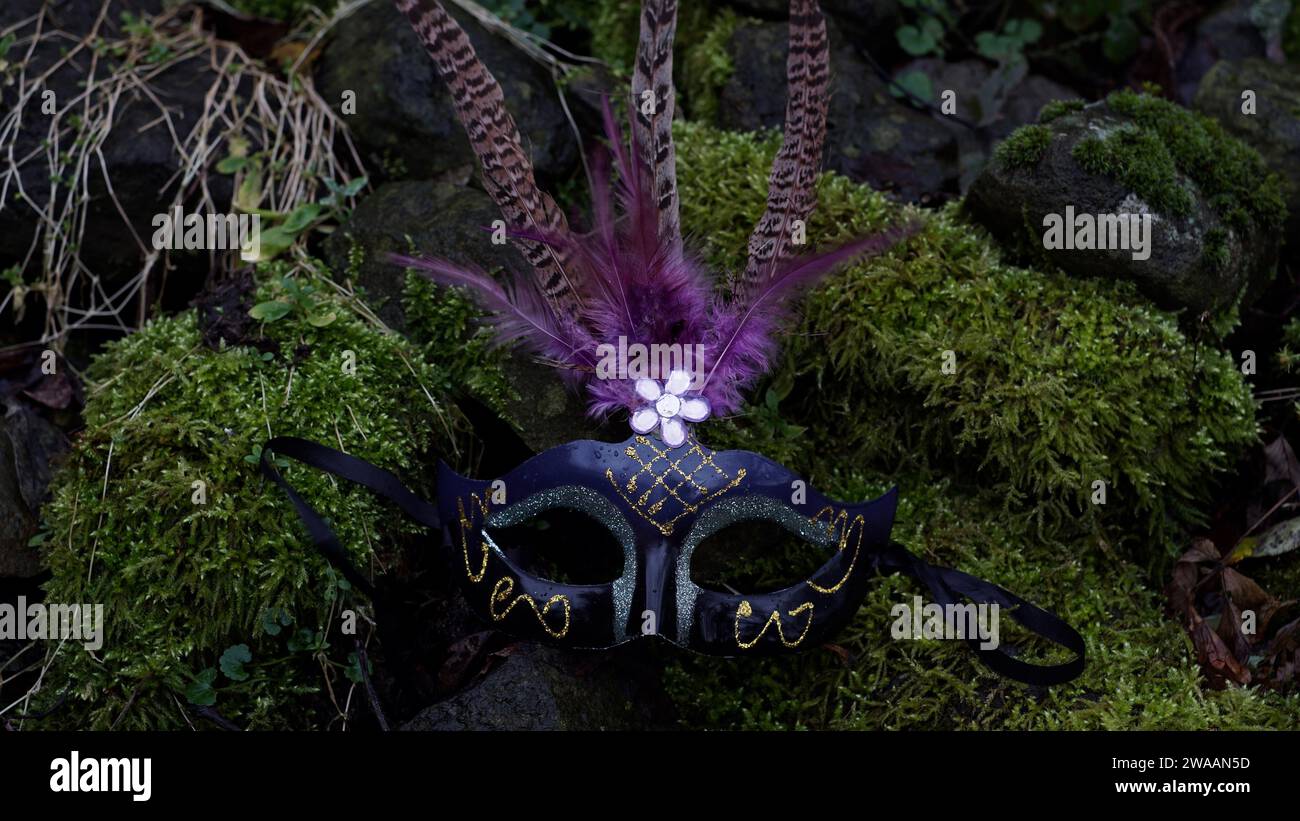 Un masque de carnaval sur des pierres recouvertes de mousse. Banque D'Images