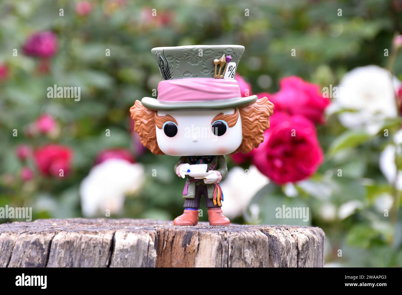 Figurine Funko Pop de Mad Hatter du film fantastique Alice au pays des merveilles de Tim Burton. Roses rouges et blanches, feuilles vertes, jardin, souche en bois. Banque D'Images