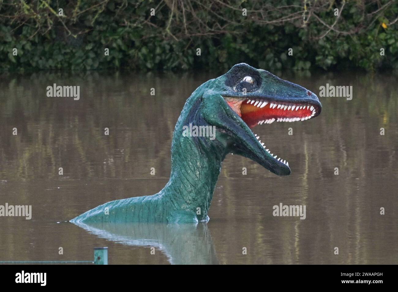Stourport on Severn, Worcestershire, le 3 janvier 2024 - les niveaux d'eau continuent d'augmenter à travers Stourport-on-Severn mercredi alors que la pluie de la tempête Henk a provoqué de graves avertissements d'inondation dans une grande partie du Royaume-Uni. Un modèle de dinosaure sur un parcours de mini-golf, nommé Dennis par les habitants qui l'utilisent comme jauge de hauteur d'inondation, est maintenant «profond de l'épaule», lundi il était «profond du genou». Geoffrey la girafe est aussi jusqu'au cou dans l'eau. - Crédit : Arrêter Press Media/Alamy Live News Banque D'Images