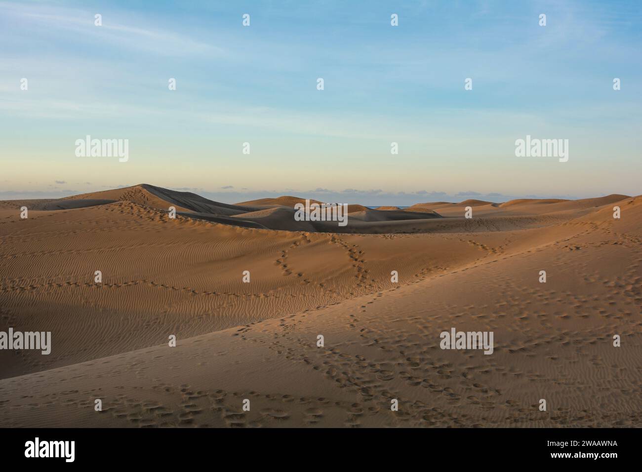 Dans les dunes de Maspalomas sur Gran Canaria en Espagne. Les immenses dunes de sable ressemblent à un petit désert et sont une réserve naturelle. Banque D'Images