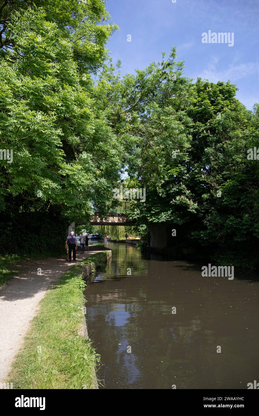 Royaume-Uni, Angleterre, Hertfordshire, près de Rickmansworth, Grand Union Canal passant sous le pont numéro 174 (Frogmore Lane) Banque D'Images