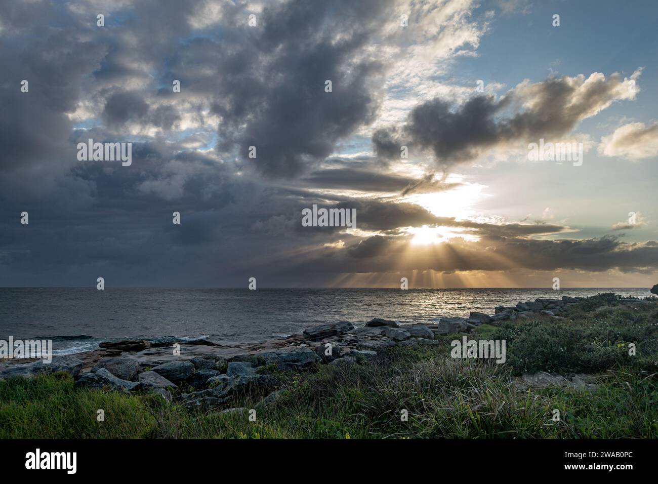 Lever de soleil sur la mer à Maroubra Beach, Randwick, Sydney, Australie. Les rayons du soleil traversent les nuages et la végétation côtière au premier plan. Banque D'Images