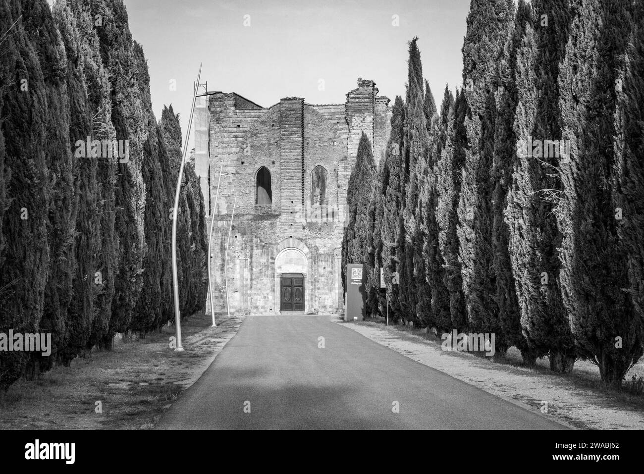Ruine du monastère cistercien médiéval San Galgano en Toscane, Italie Banque D'Images