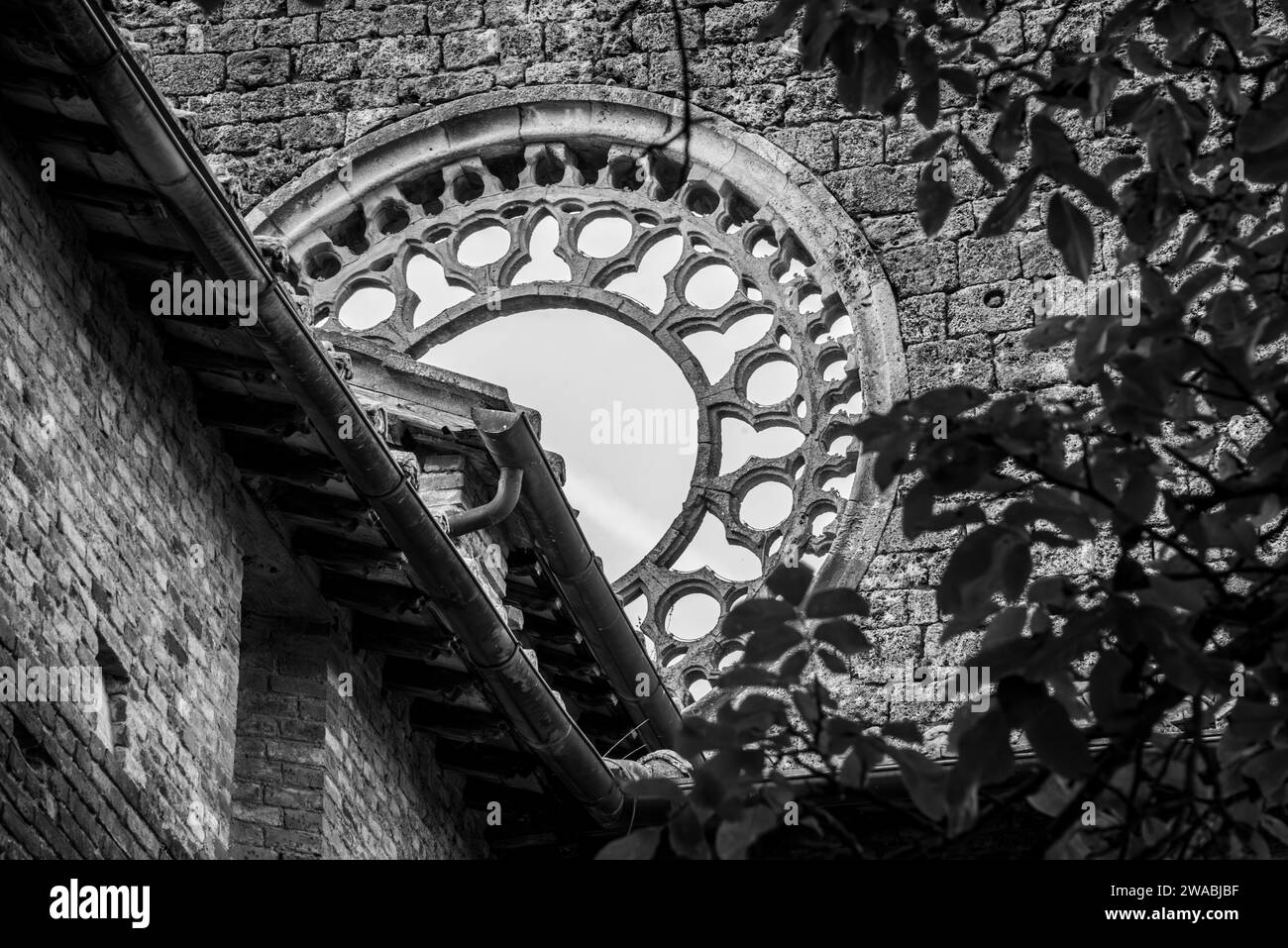 Rosette de fenêtre détruite au monastère cistercien abandonné San Galgano en Toscane, Italie Banque D'Images
