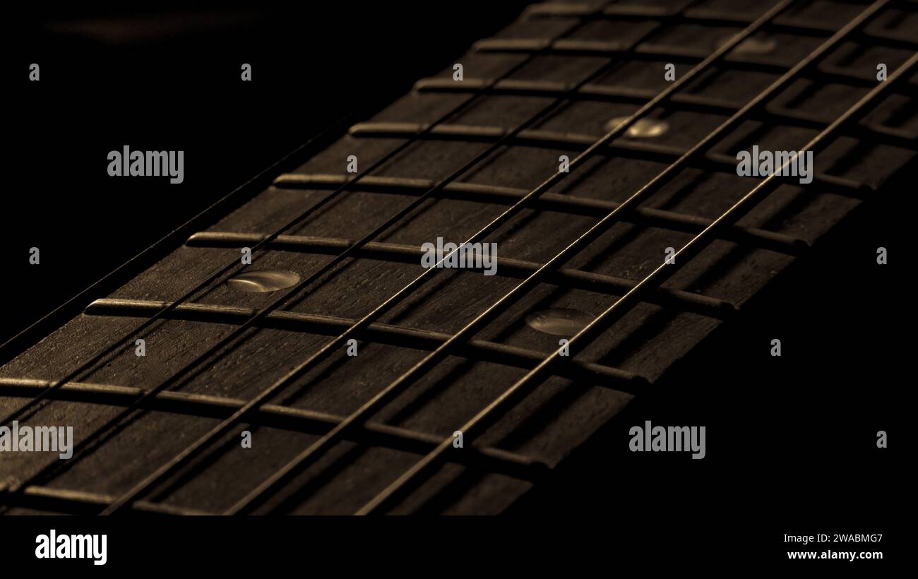 Carte Stratocaster fret Banque D'Images