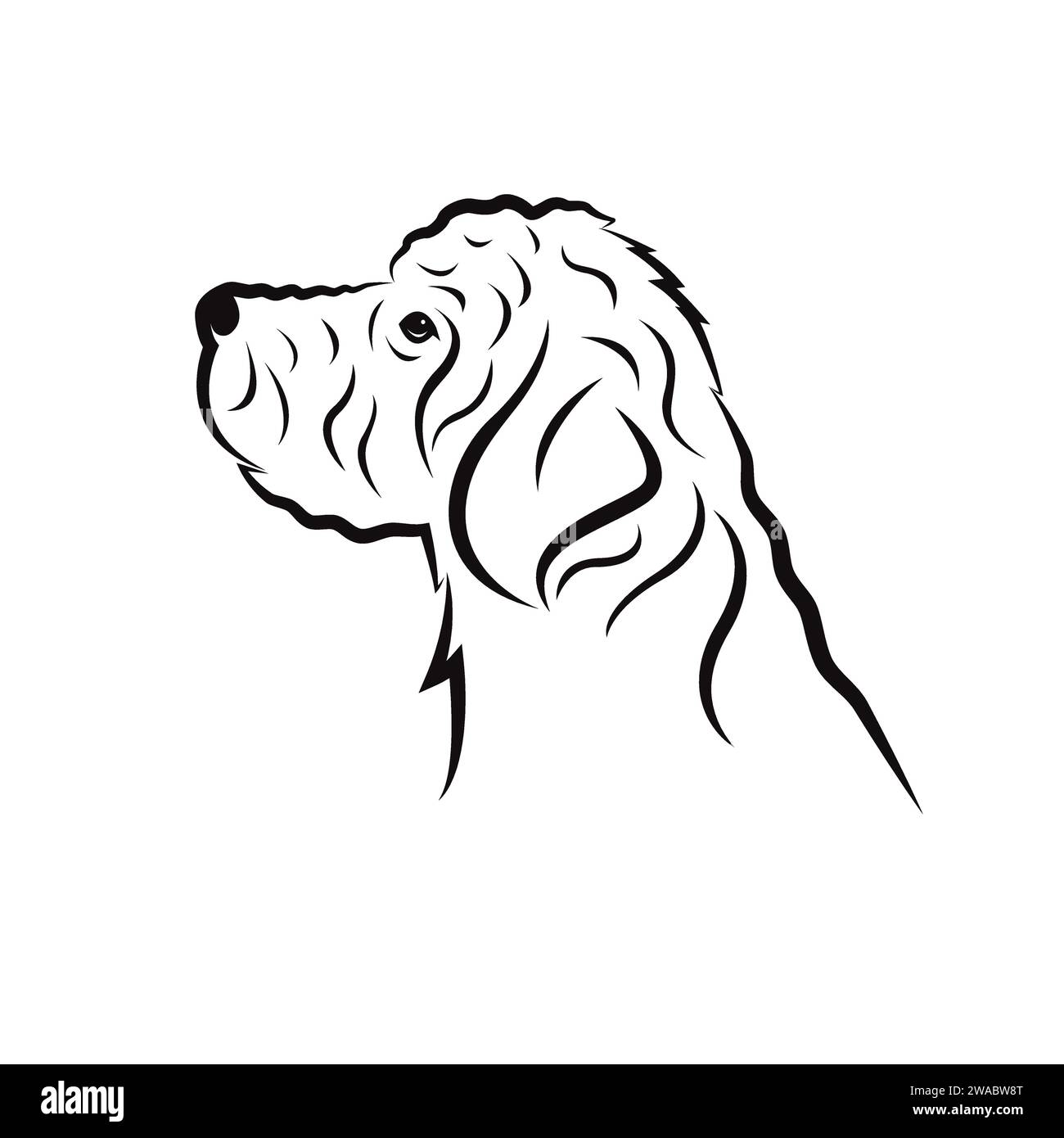 Vecteur de conception de chien goldendoodle sur fond blanc. Animaux. PET. Illustration vectorielle en couches facile à modifier. Illustration de Vecteur