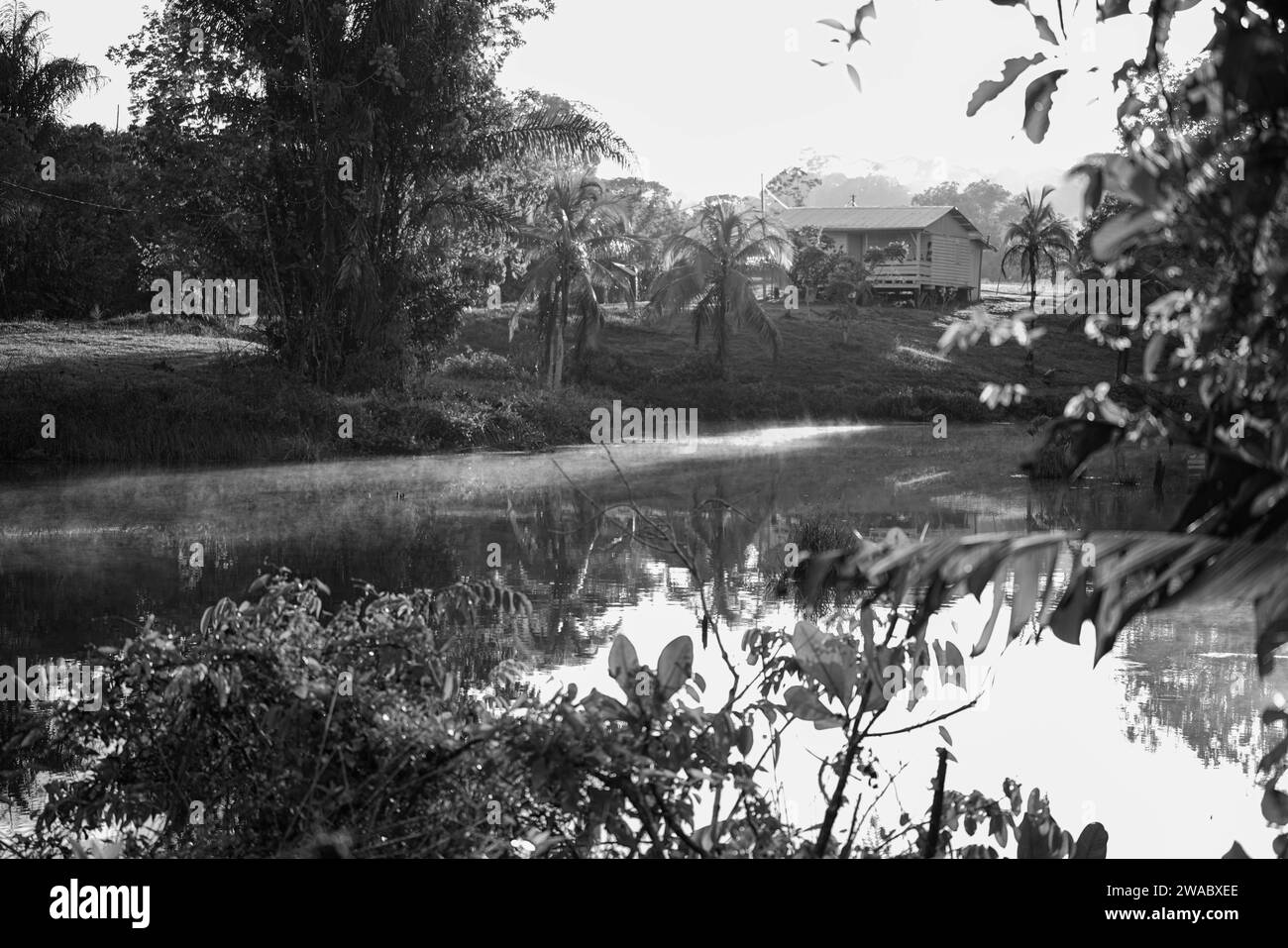 Lumières matinales et brouillard sur le lac Banque D'Images