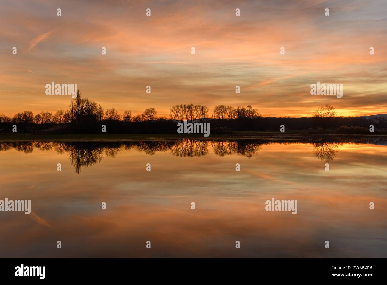 Arbres se reflétant dans l'eau au coucher du soleil. Paysage hivernal ciel rouge et orange. Bas-Rhin, Alsace, Grand est, France, Europe. Banque D'Images