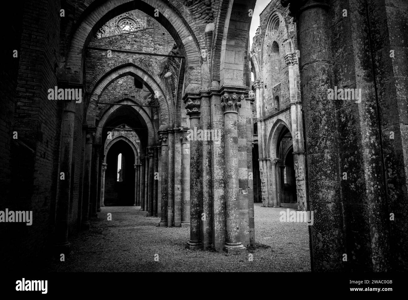 Nef du monastère cistercien San Galgano en ruines et abandonné en Toscane, Italie Banque D'Images