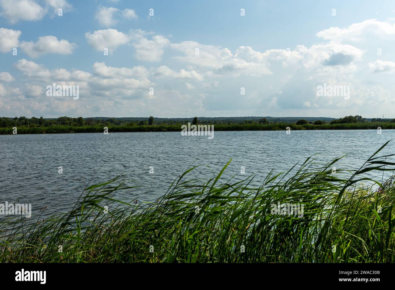 Vue sur le lac sacré du désert des Mammoth sur le territoire de l'ancienne St. Monastère Nicolas dans les environs du village de Mamontovo, Sosnovs Banque D'Images