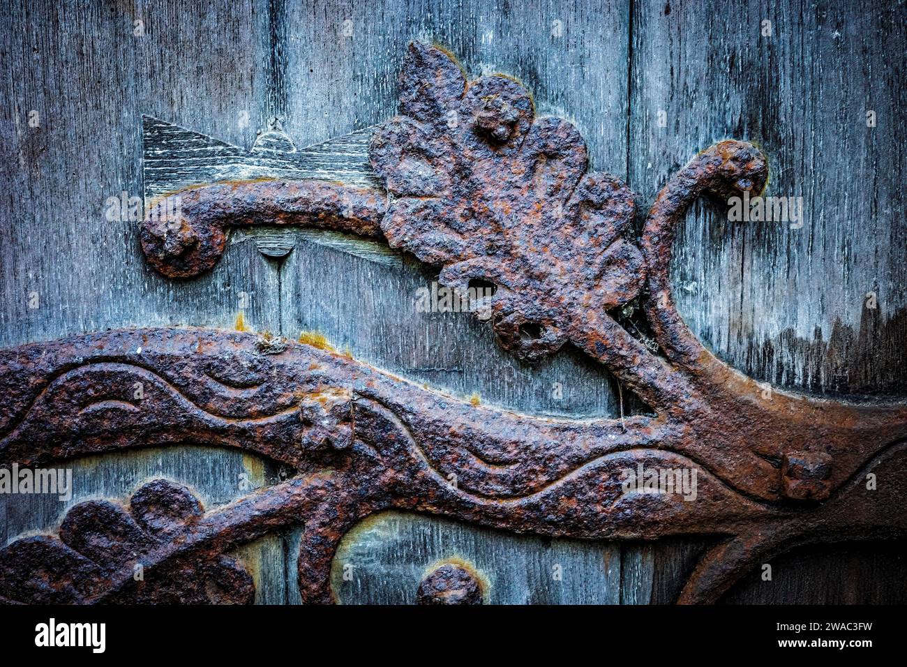 Détail de charnière rouillé en fer sur la vieille porte en bois de l'ancienne cathédrale de Llandaff. Motif de feuilles. Coloré. Banque D'Images