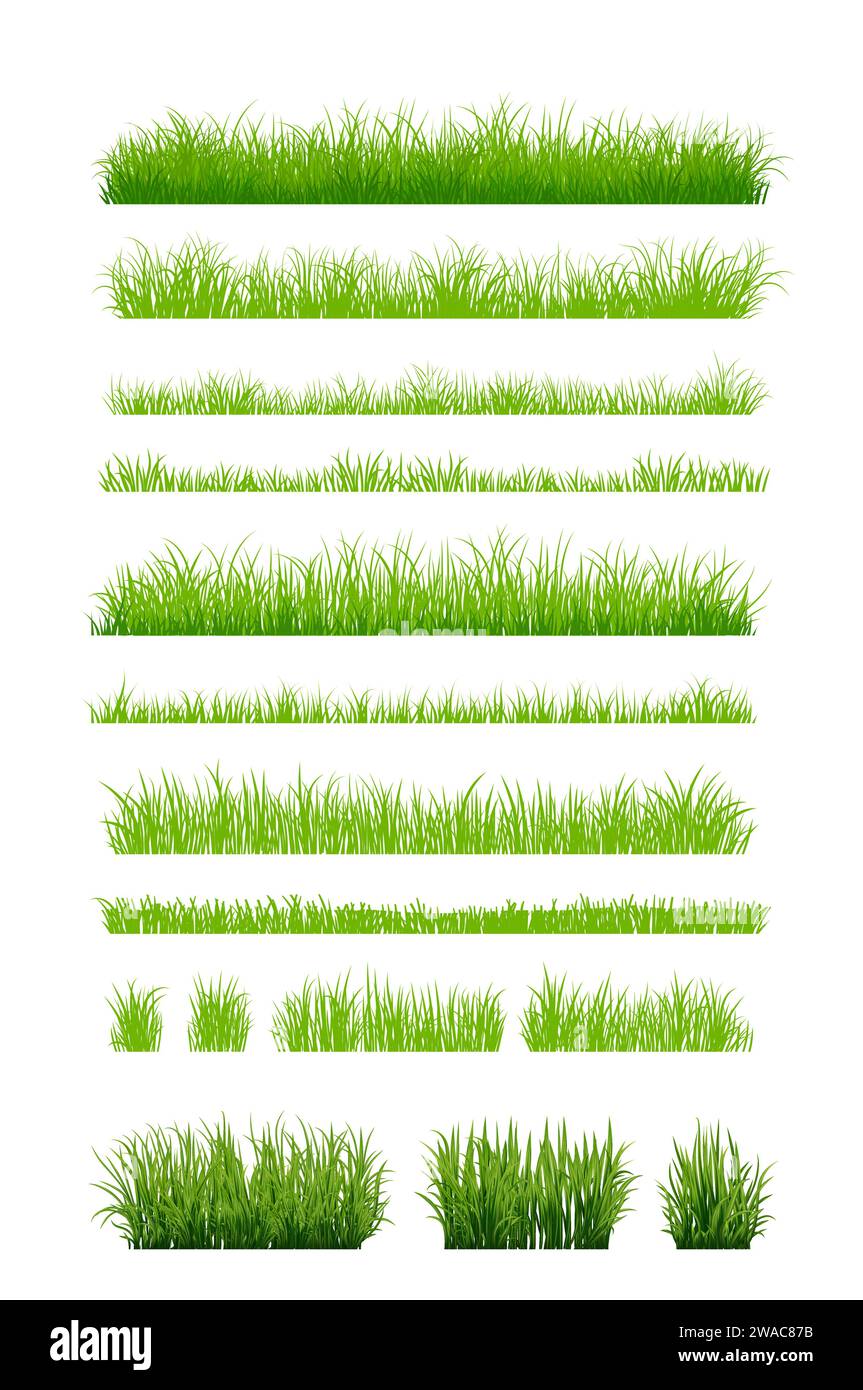 Silhouette d'herbe verte. Lignes de dessins animés de plantes et d'arbustes pour l'embarquement et l'encadrement, élément de logo écologique et organique. Vector Set Spring Field planter SH Illustration de Vecteur