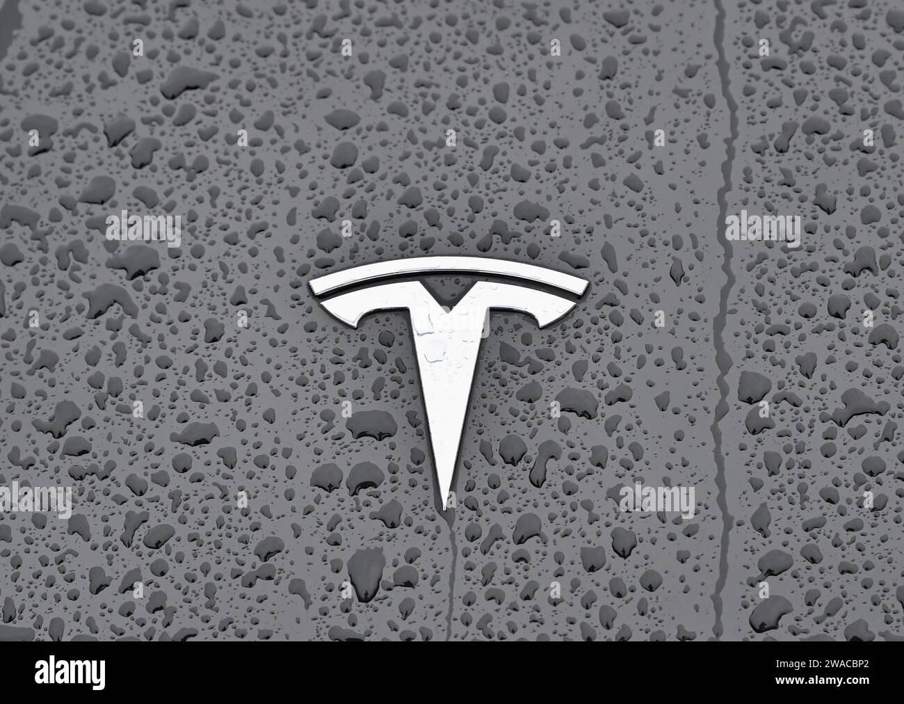 02 janvier 2024, Brandenburg, Grünheide : des gouttes de pluie peuvent être vues sur la voiture avec le logo Tesla. Photo : Patrick Pleul/dpa Banque D'Images