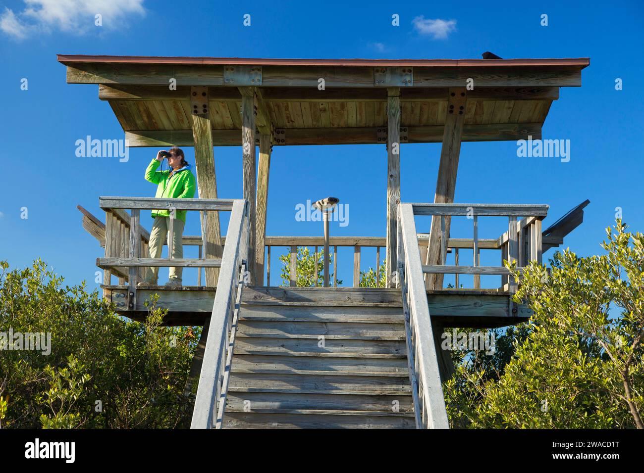 Tour d'observation le long du Allan Cruickshank Memorial Trail, Merritt Island National Wildlife refuge, Floride Banque D'Images