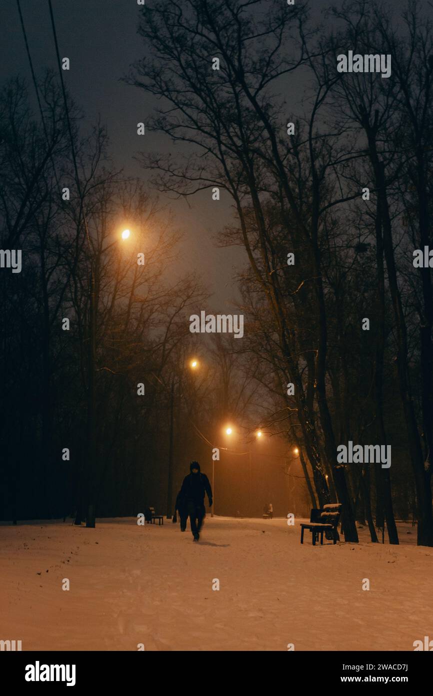 Homme marchant dans le parc d'hiver avec des lampadaires la nuit. Paysage hivernal. Chutes de neige dans la ville. Banc et marcheurs sur ruelle dans le parc du soir. Banque D'Images
