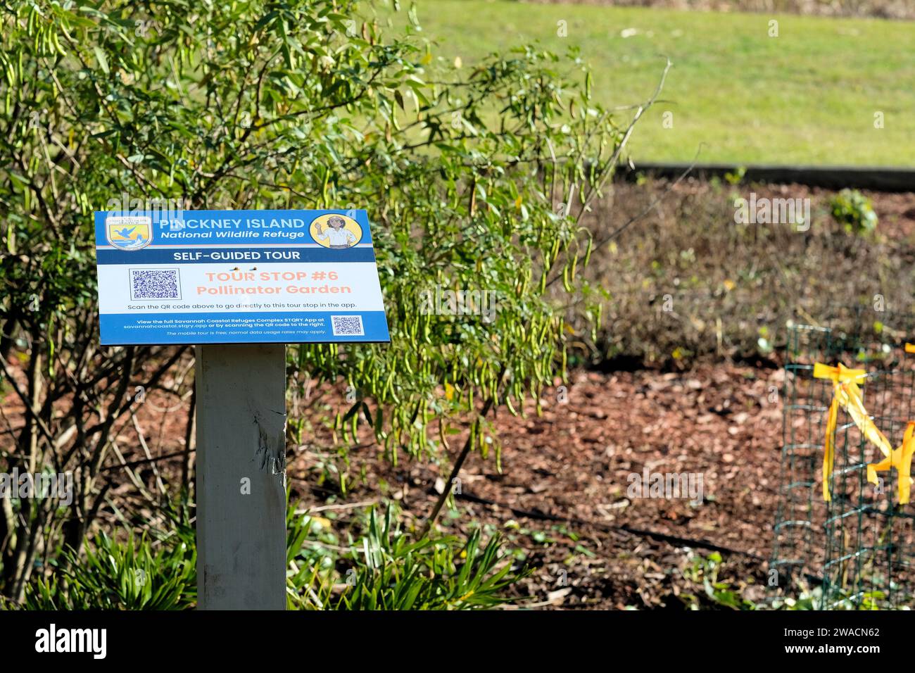 Marqueur de visite autoguidée avec code QR dans un jardin de pollinisateurs à Pinckney Island National Wildlife refuge à Hilton Head, Caroline du Sud. Banque D'Images