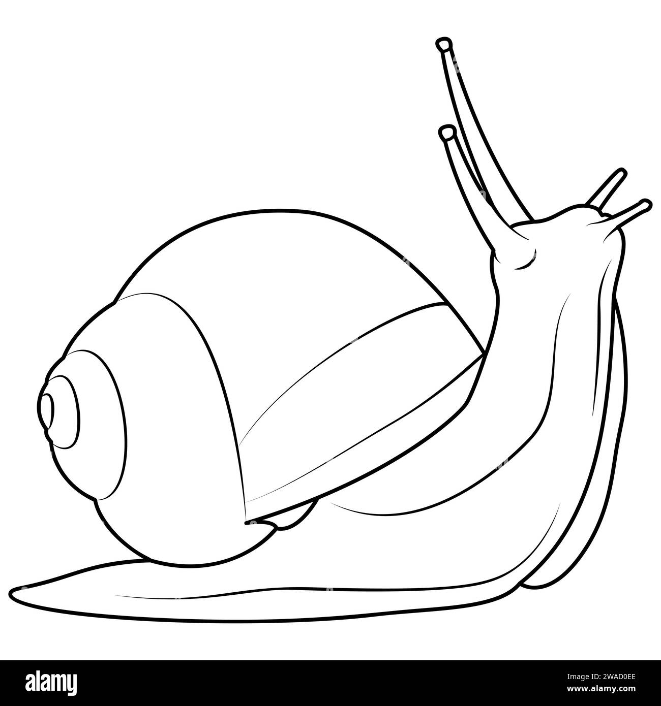 Jardin d'escargots Éléments vectoriels isolés sur fond blanc. Dessin minimaliste pour la conception d'emballage cosmétique, étiquette, logo, bannière ou page de coloriage d'impression. Illustration vectorielle Illustration de Vecteur