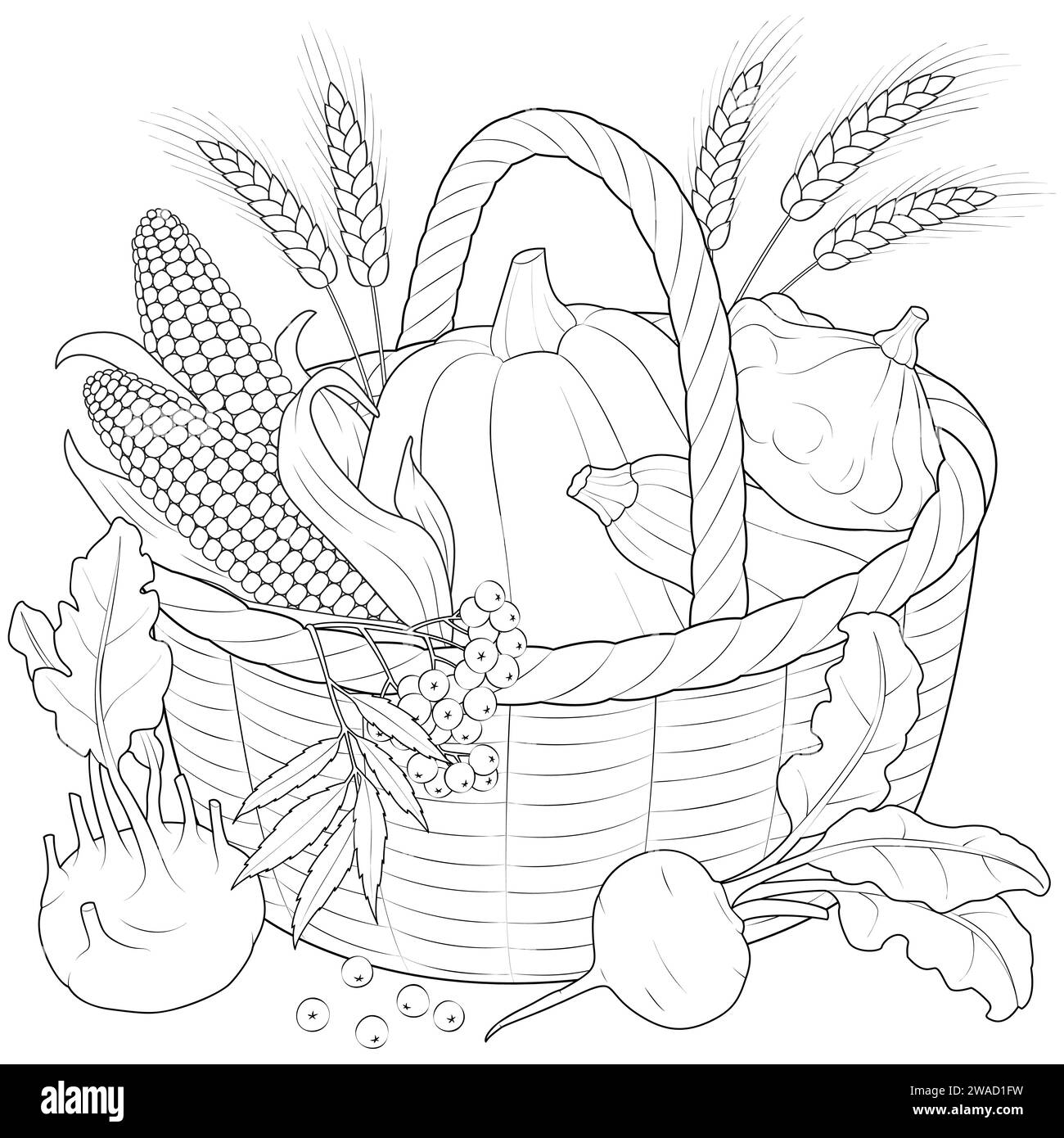 Illustration vectorielle noir et blanc du panier de récolte d'automne. Maïs, épis de blé, panier, betteraves, navets, citrouille, courge, chou-rave. Coloriage pour enfants et adultes. Illustration de Vecteur