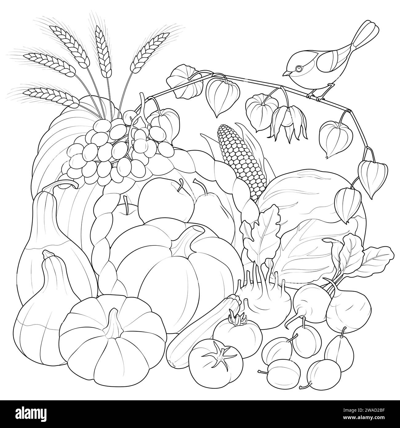 Automne récolte des légumes et des fruits avec oiseau. illustration vectorielle en noir et blanc. Coloriage pour enfants et adultes. Illustration vectorielle Illustration de Vecteur