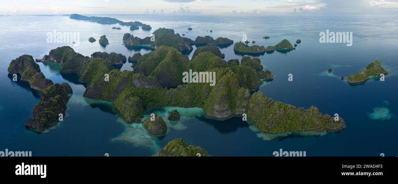 Les îles calcaires s'élèvent du paysage marin impressionnant Raja Ampat, Indonésie. Les récifs coralliens de ces îles tropicales abritent une grande biodiversité marine. Banque D'Images