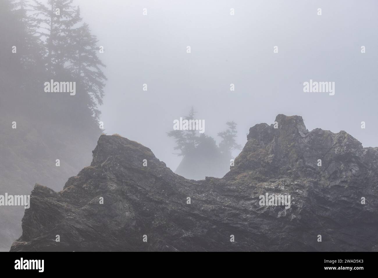 États-Unis, Oregon, Brookings, côte rocheuse par jour brumeux Banque D'Images