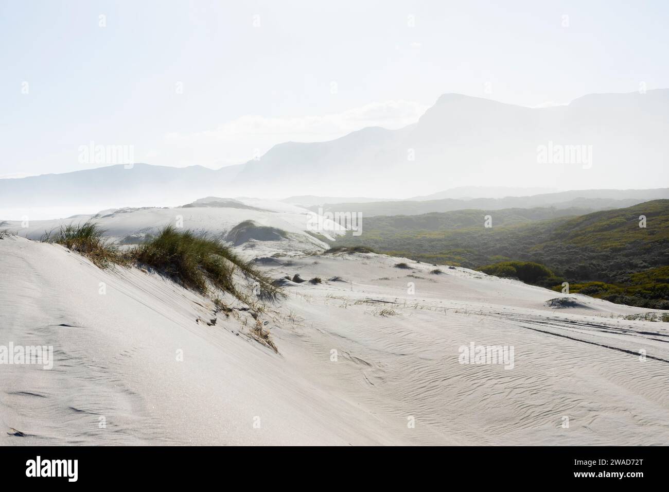 Afrique du Sud, Hermanus, Paysage de sable dans la réserve naturelle de Walker Bay Banque D'Images