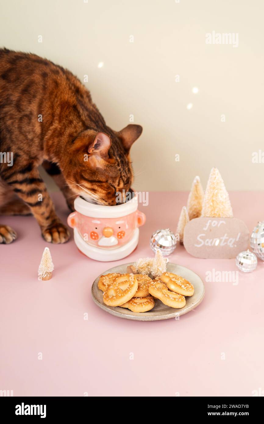 Chat volant les biscuits et le lait du Père Noël. Banque D'Images