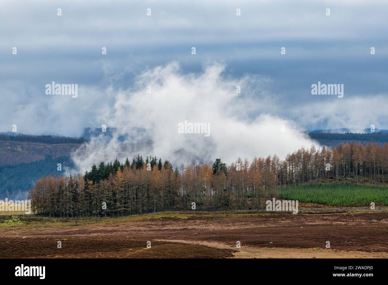 Vapeur de distillerie et nuages bas au-dessus du domaine Balmoral, Aberdeenshire, Écosse Banque D'Images