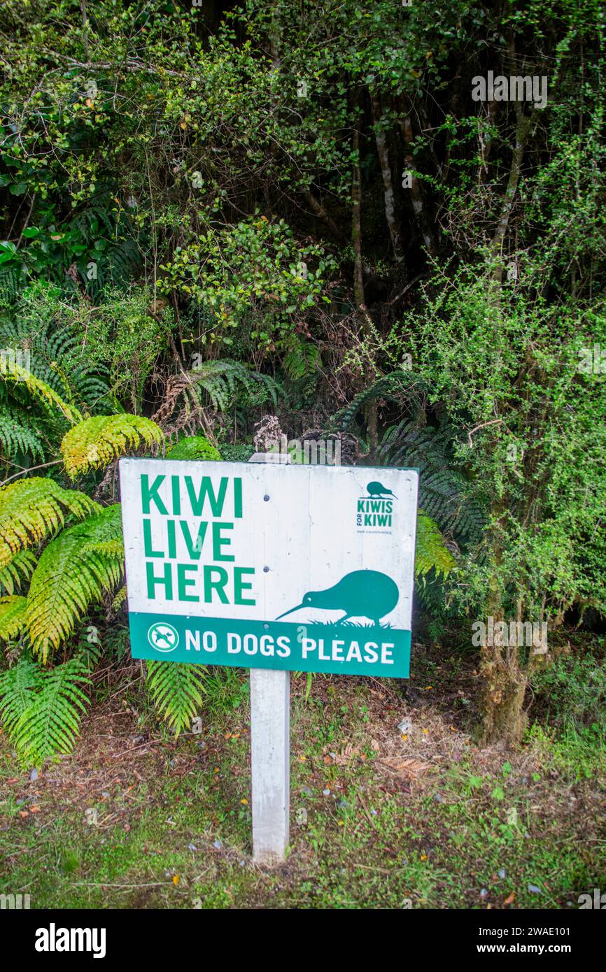 Fox Glacier Nouvelle-Zélande : le panneau d'avertissement dans le lac Matheson pour rappeler aux touristes que c'est Kiwi zone, les chiens ne sont pas autorisés parce que le chien peut tuer l'oiseau kiwi. Banque D'Images