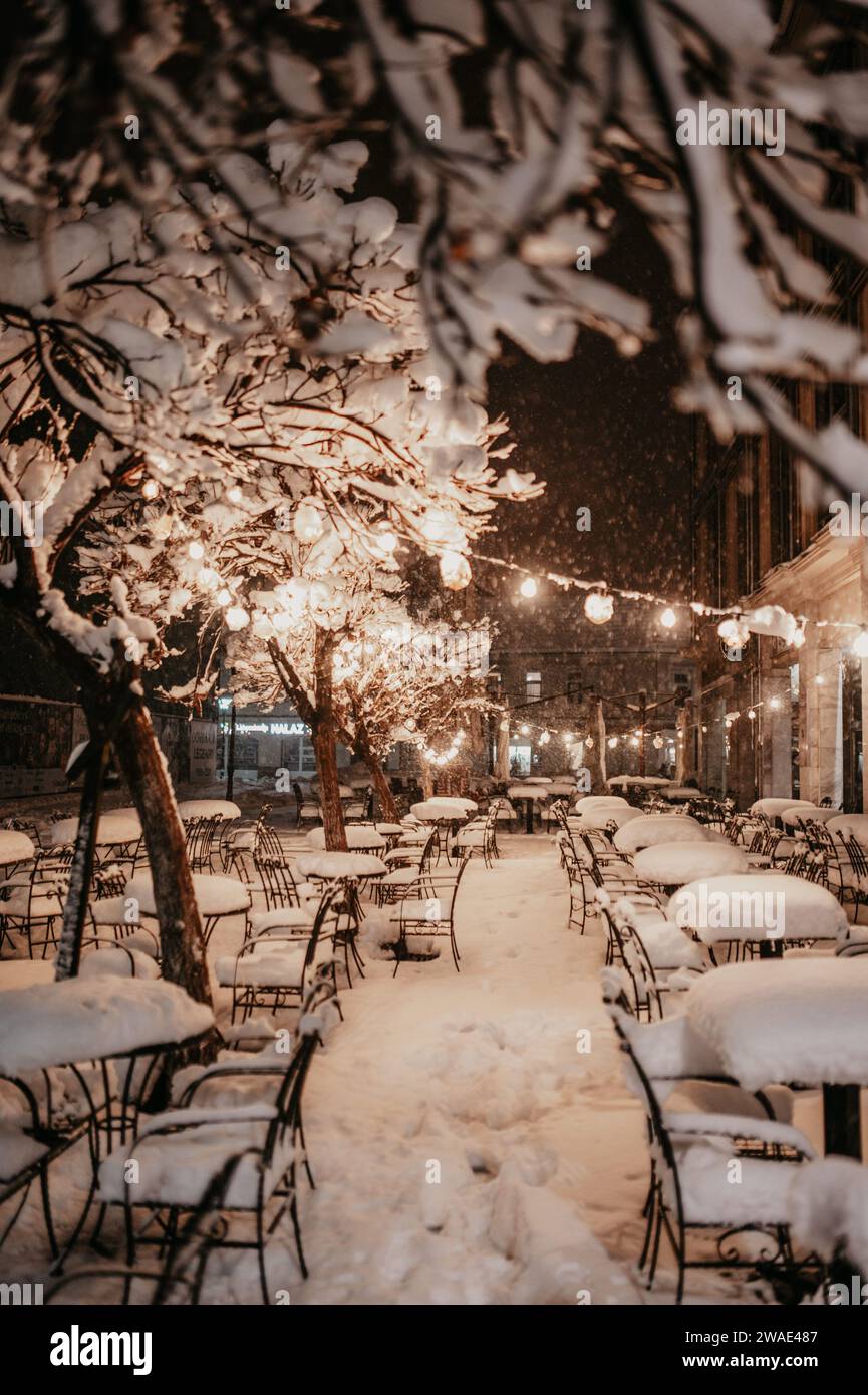 Un plan vertical d'une table de restaurant extérieure et des chaises recouvertes de neige, avec des feuilles de bois et des ampoules Banque D'Images