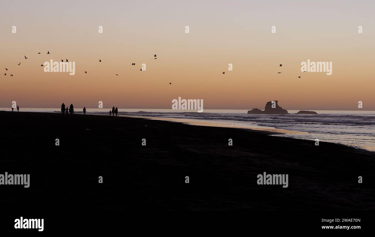 Cavaliers de cheval de plage au coucher du soleil en silhouette avec un affleurement rocheux et mouettes au-dessus. Essaouira, Maroc, 3 janvier 2024 Banque D'Images