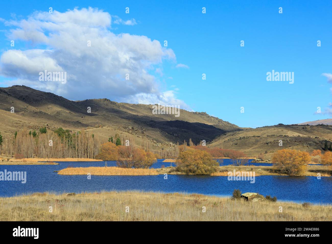 Un paysage d'automne avec des arbres colorés autour d'un lac dans la zone de conservation de Flat Top Hill, Central Otago, Nouvelle-Zélande Banque D'Images