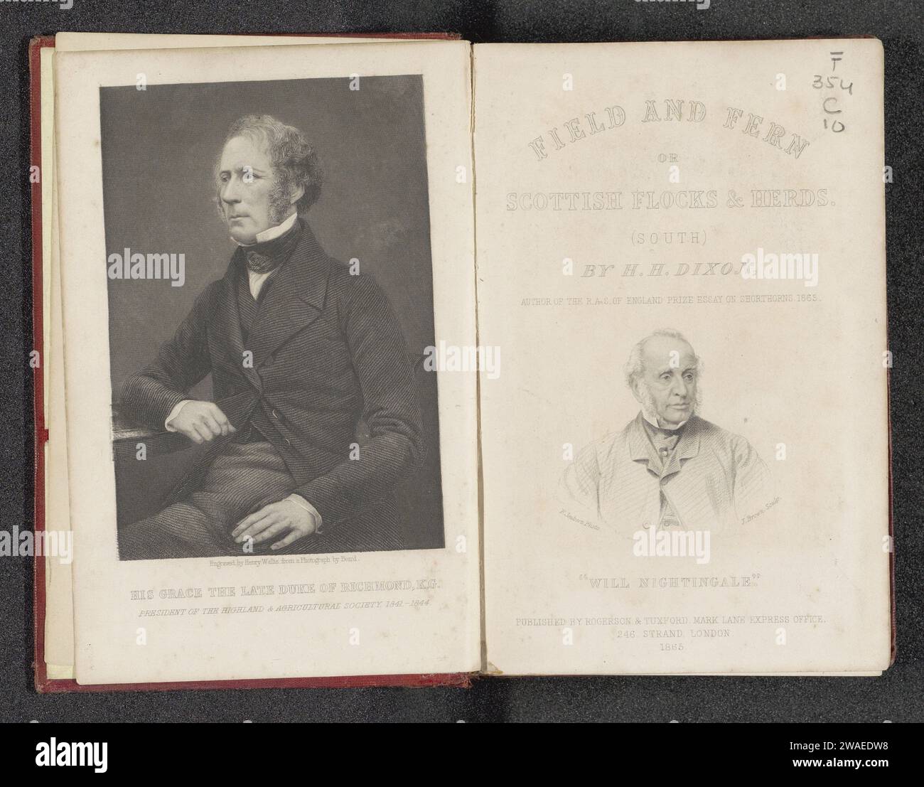 Field and Fern or Scottish Flocks and Herds (South), H.H. Dixon, 1865 livre London paper. support photographique. lin (matériel) imprimé albumen Banque D'Images