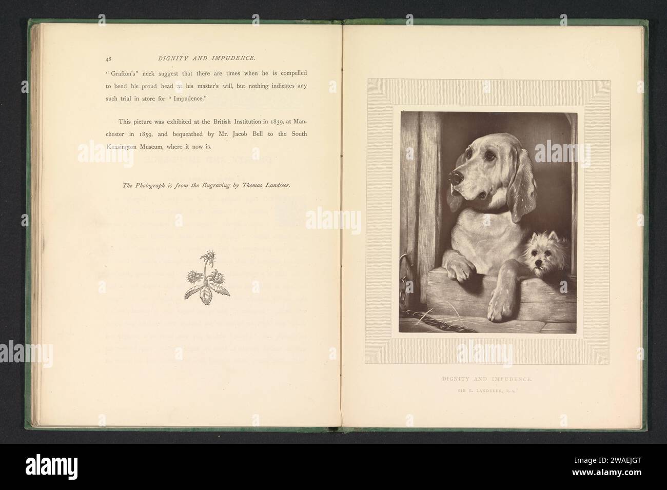 Production photographique d'une impression à une peinture de deux chiens par Edwin Henry Landseeer, anonyme, d'après Thomas Landseer, d'après Edwin Henry Landseer, c. 1863 - en 1873 ou avant. Imprimeur photomécanique : Englandprinter : London paper dog Banque D'Images