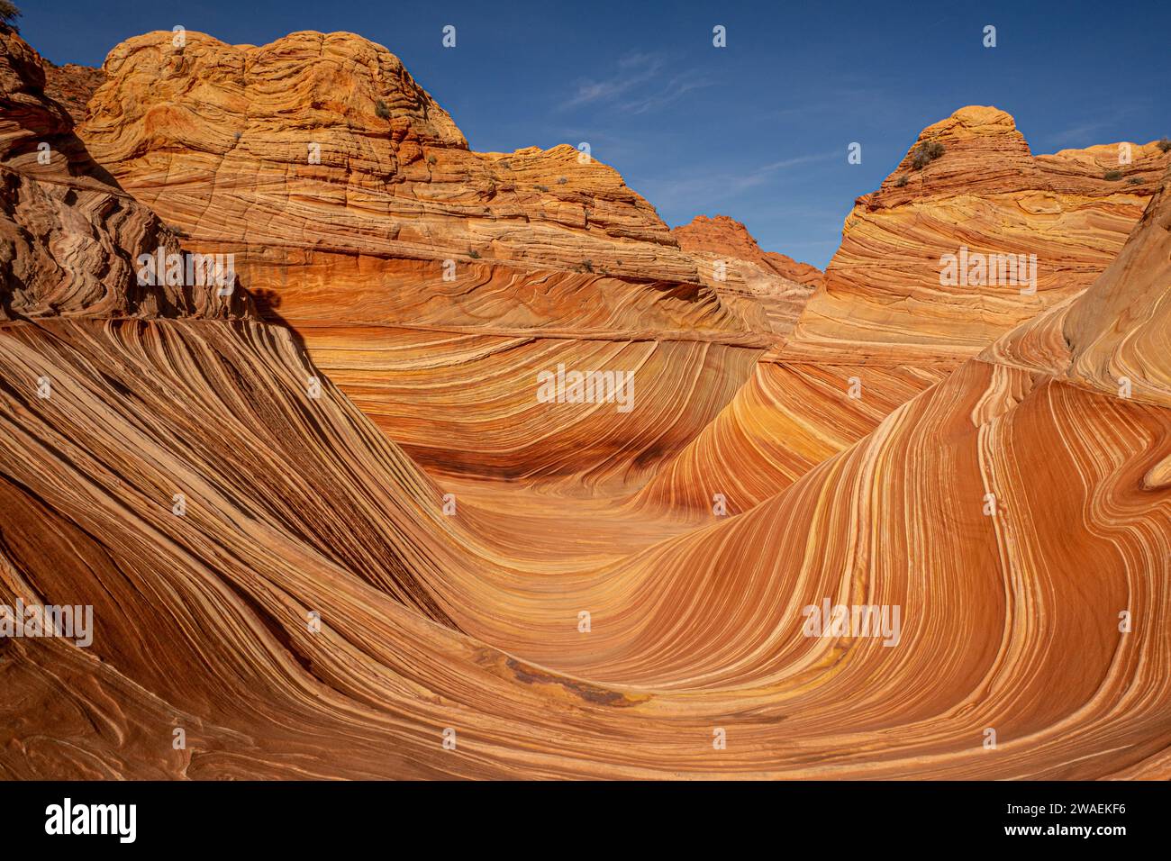 Une vue panoramique des formations rocheuses de The Wave, Kanab, Utah Banque D'Images