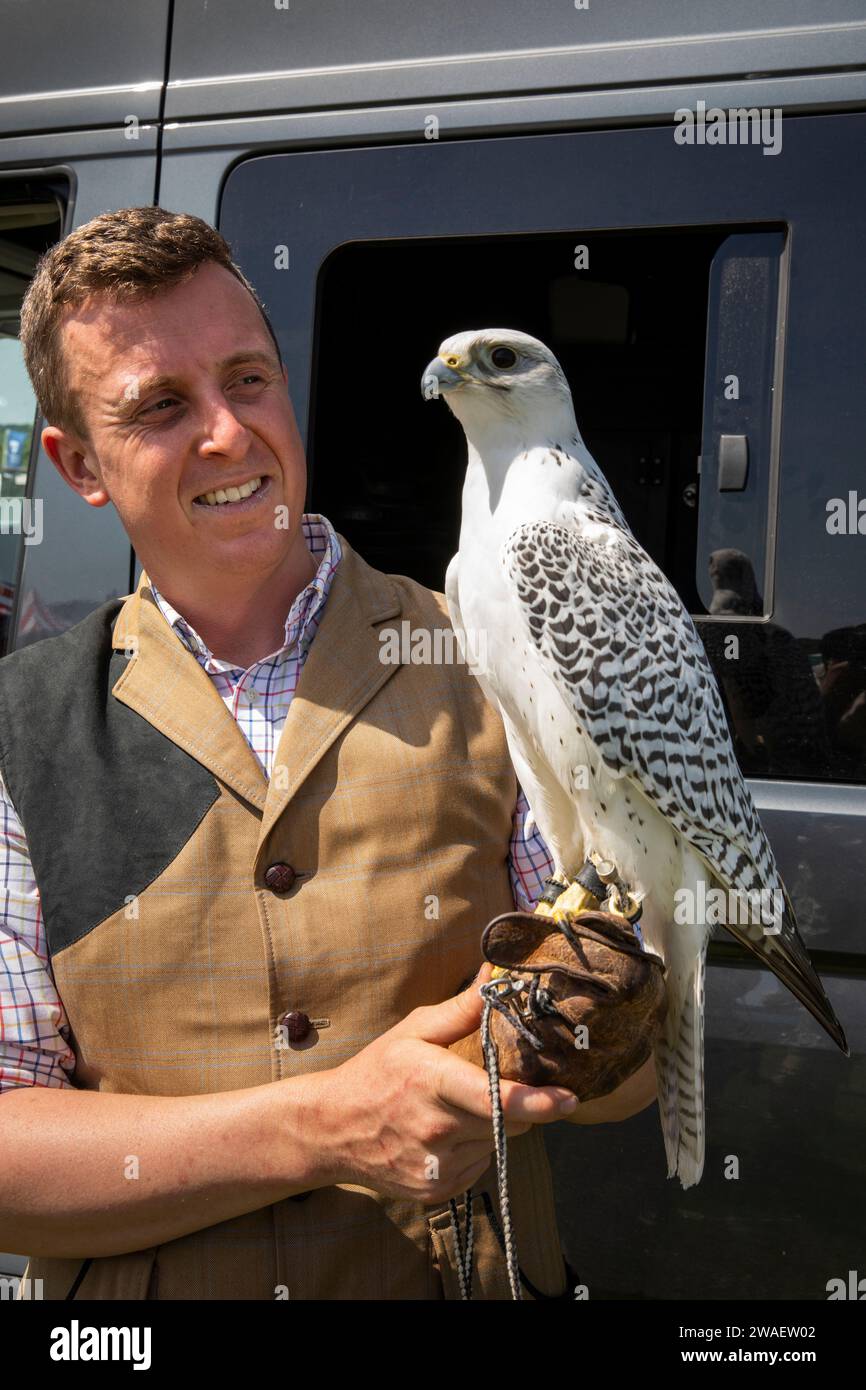 Royaume-Uni, Angleterre, Worcestershire, Malvern Wells, Royal 3 Counties Show, Alastair Leese of Hawkeye Falconry avec Icelandic Gyrfalcon – Falco rusticolus Banque D'Images